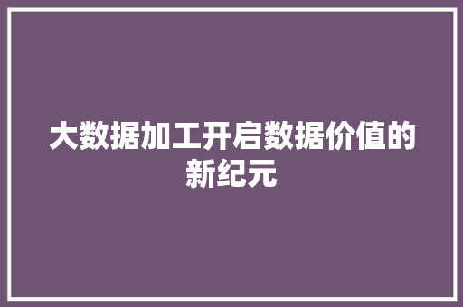 大数据加工开启数据价值的新纪元