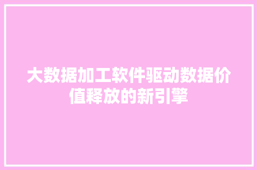 大数据加工软件驱动数据价值释放的新引擎