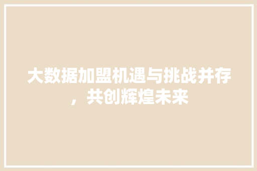 大数据加盟机遇与挑战并存，共创辉煌未来  第1张