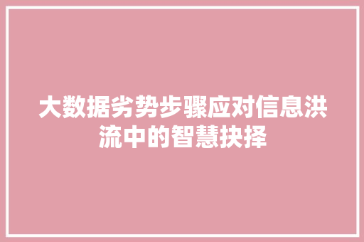 大数据劣势步骤应对信息洪流中的智慧抉择