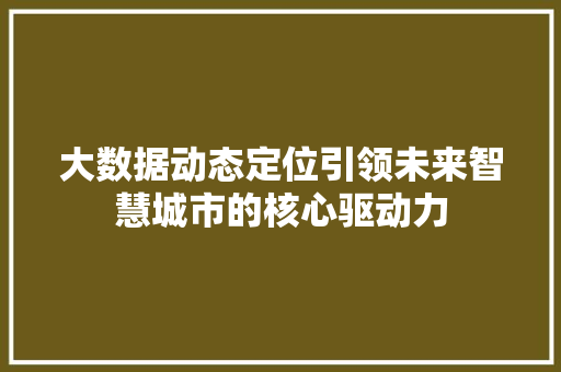 大数据动态定位引领未来智慧城市的核心驱动力  第1张