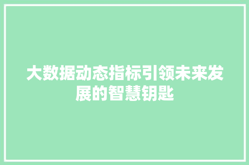 大数据动态指标引领未来发展的智慧钥匙  第1张
