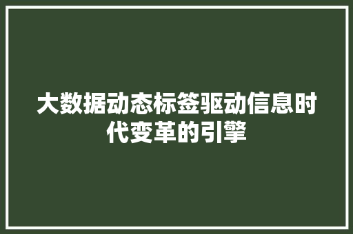 大数据动态标签驱动信息时代变革的引擎