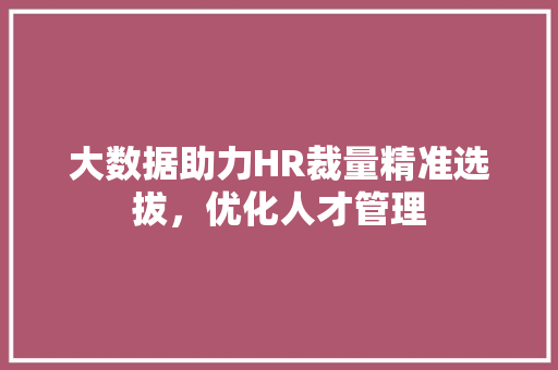 大数据助力HR裁量精准选拔，优化人才管理