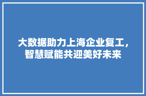 大数据助力上海企业复工，智慧赋能共迎美好未来  第1张