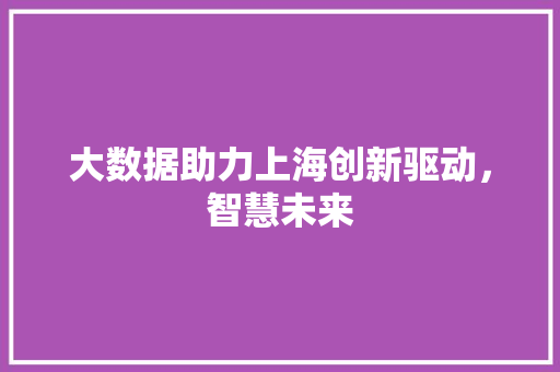 大数据助力上海创新驱动，智慧未来  第1张