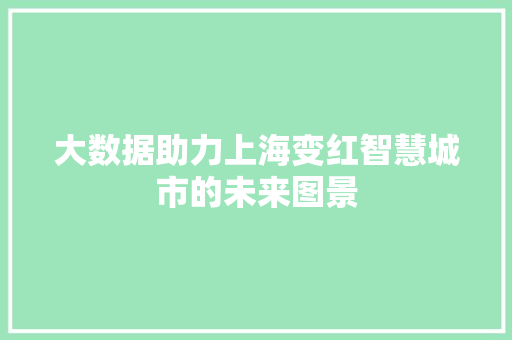 大数据助力上海变红智慧城市的未来图景