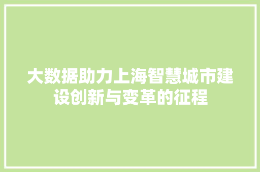 大数据助力上海智慧城市建设创新与变革的征程  第1张