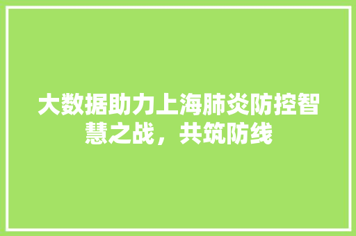 大数据助力上海肺炎防控智慧之战，共筑防线  第1张