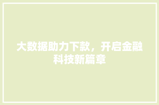 大数据助力下款，开启金融科技新篇章  第1张