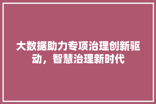 大数据助力专项治理创新驱动，智慧治理新时代