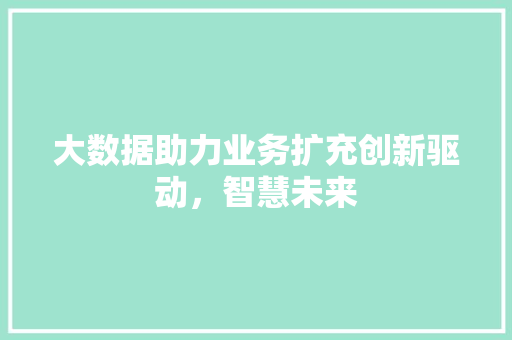 大数据助力业务扩充创新驱动，智慧未来