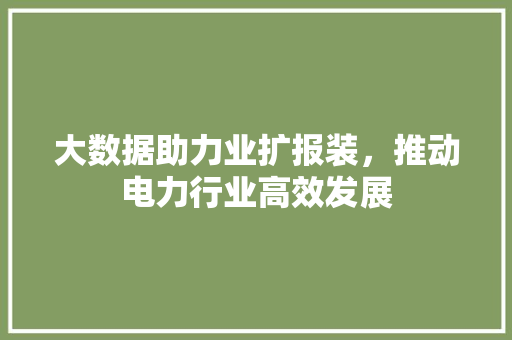 大数据助力业扩报装，推动电力行业高效发展
