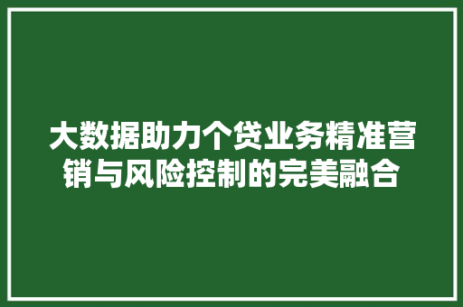 大数据助力个贷业务精准营销与风险控制的完美融合