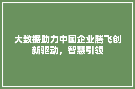 大数据助力中国企业腾飞创新驱动，智慧引领  第1张