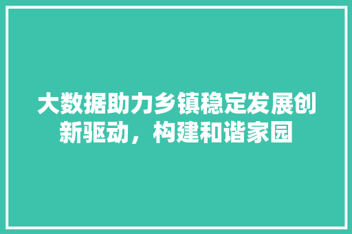 大数据助力乡镇稳定发展创新驱动，构建和谐家园