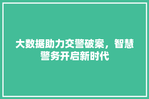 大数据助力交警破案，智慧警务开启新时代