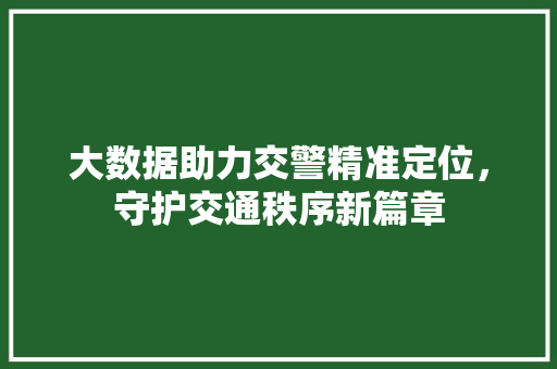 大数据助力交警精准定位，守护交通秩序新篇章