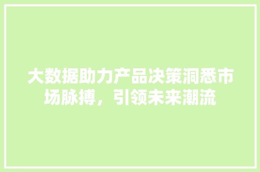 大数据助力产品决策洞悉市场脉搏，引领未来潮流