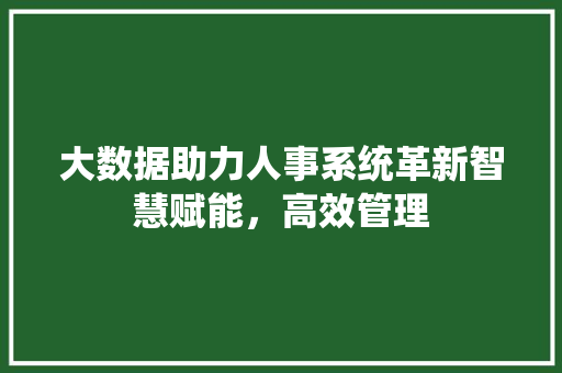 大数据助力人事系统革新智慧赋能，高效管理  第1张