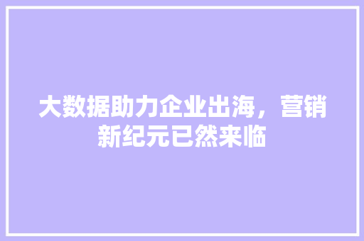 大数据助力企业出海，营销新纪元已然来临