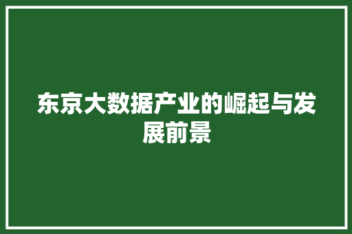 东京大数据产业的崛起与发展前景