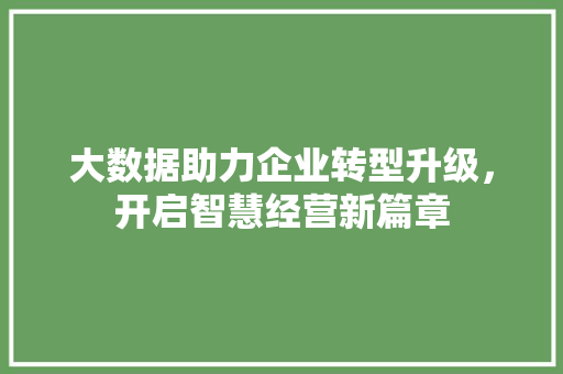大数据助力企业转型升级，开启智慧经营新篇章  第1张