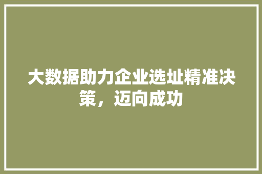 大数据助力企业选址精准决策，迈向成功