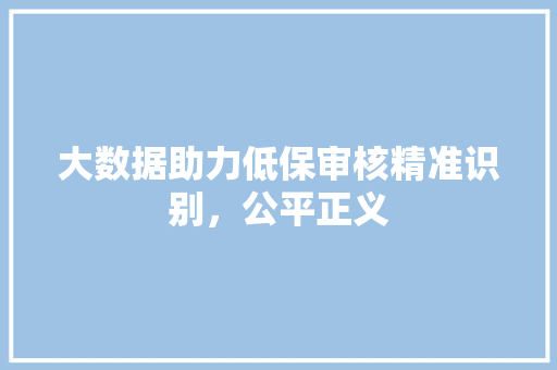 大数据助力低保审核精准识别，公平正义
