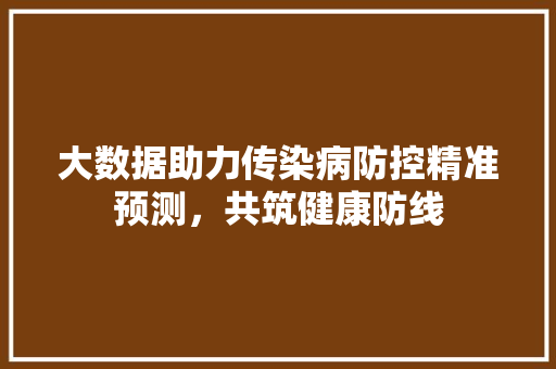 大数据助力传染病防控精准预测，共筑健康防线