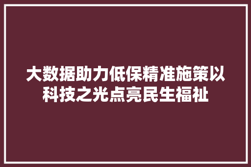 大数据助力低保精准施策以科技之光点亮民生福祉