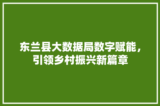 东兰县大数据局数字赋能，引领乡村振兴新篇章