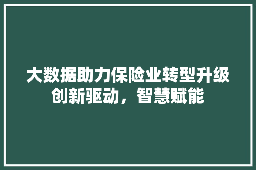 大数据助力保险业转型升级创新驱动，智慧赋能