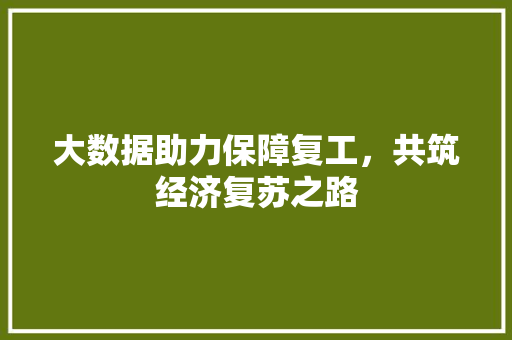 大数据助力保障复工，共筑经济复苏之路  第1张