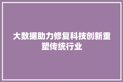 大数据助力修复科技创新重塑传统行业