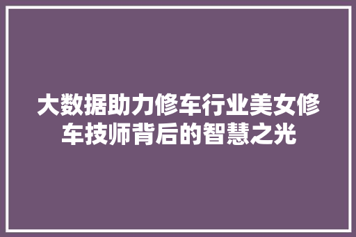 大数据助力修车行业美女修车技师背后的智慧之光
