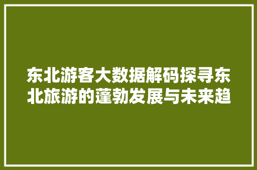 东北游客大数据解码探寻东北旅游的蓬勃发展与未来趋势