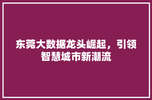 东莞大数据龙头崛起，引领智慧城市新潮流