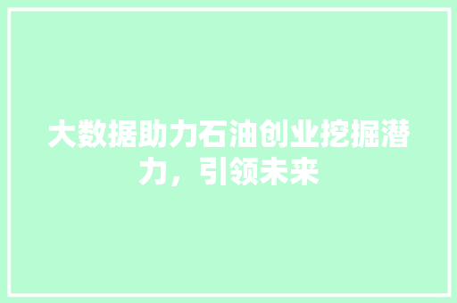 大数据助力石油创业挖掘潜力，引领未来