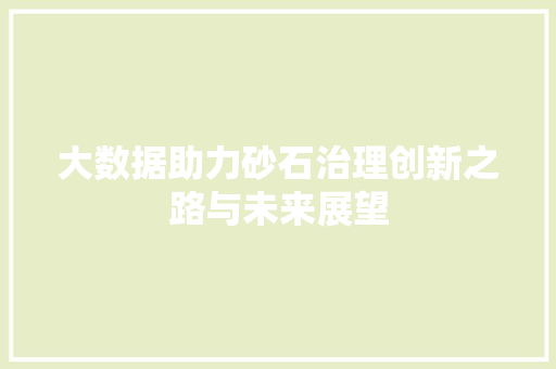 大数据助力砂石治理创新之路与未来展望