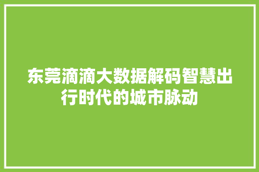东莞滴滴大数据解码智慧出行时代的城市脉动