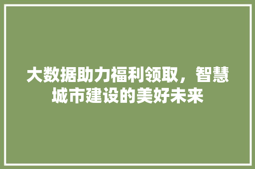 大数据助力福利领取，智慧城市建设的美好未来  第1张