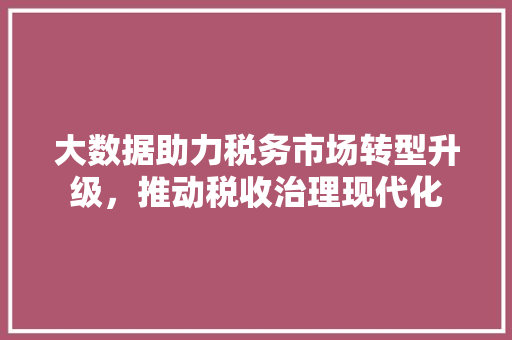 大数据助力税务市场转型升级，推动税收治理现代化