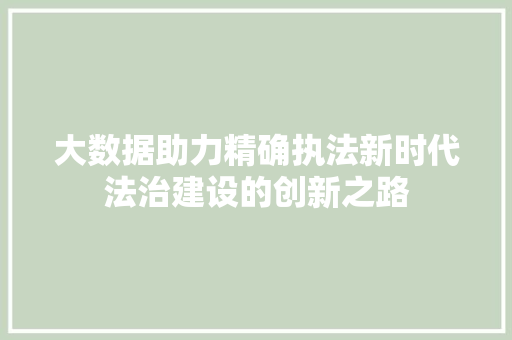 大数据助力精确执法新时代法治建设的创新之路  第1张