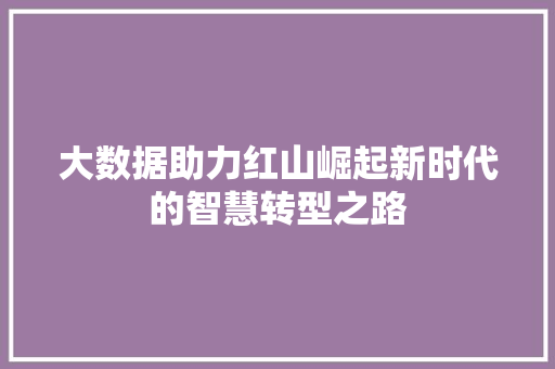 大数据助力红山崛起新时代的智慧转型之路