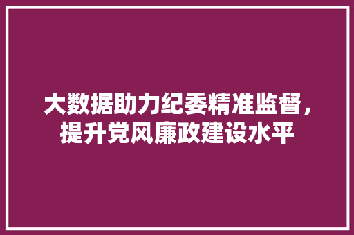 大数据助力纪委精准监督，提升党风廉政建设水平  第1张