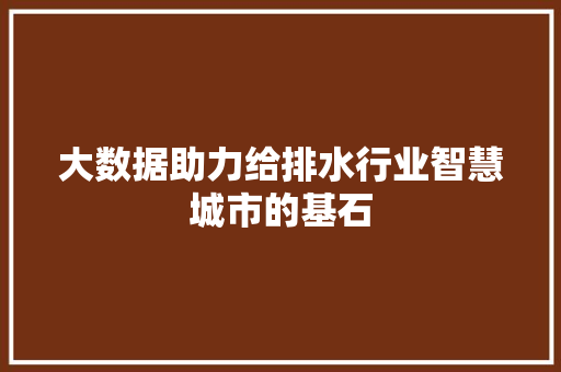 大数据助力给排水行业智慧城市的基石