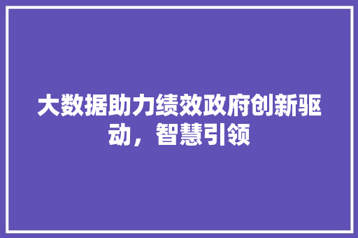 大数据助力绩效政府创新驱动，智慧引领