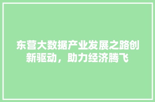 东营大数据产业发展之路创新驱动，助力经济腾飞