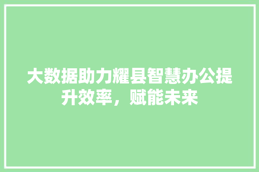 大数据助力耀县智慧办公提升效率，赋能未来
